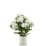Hydrangea white in pot 68cm