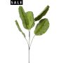 Calathea spray green/grey 115cm