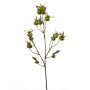 Rosehip spray green 65cm