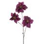 Poinsettia spray x3 purple 80cm