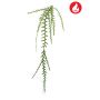 Epiphyllum vine spray FR 125cm