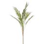 Palm chameadorea spray 120cm