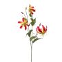 Gloriosa spray beauty/yellow 90cm