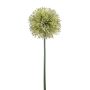 Allium spray XL green 85cm