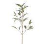 Eucalyptus spray w pods 90cm