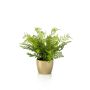 Fern forest bush green 30cm in pearlgold pot