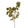 Saxifraga spray green 112cm