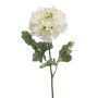 Ranunculus spray XL cream/green 60cm