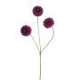 Dahlia pompon mini spray x3 tt purple 68cm