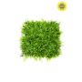 Fern/juniperus mix mat weather resistant/UV lt green 50x50cm