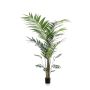 Palm kentia 210cm (knock down packing)