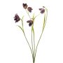 Fritillaria spray burgundy 52cm