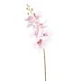 Phalaenopsis spray pink 84cm