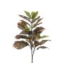 Croton bush 70cm