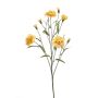Dianthus spray beige 70cm