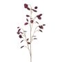 Lunaria spray purple 120cm