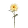 Dahlia spider spray lt yellow 56cm