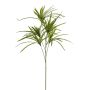 Dracaena spray green 90cm