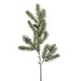 Pine cone spray w snow 70cm