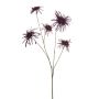 Chrysantum spider spray puple 110cm