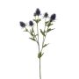 Eryngium spray blue 70cm
