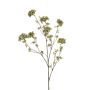 Hydrangea maple spray green 120cm