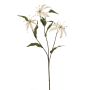 Gloriosa spray beige 80cm