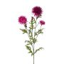 Centaurea spray fuchsia 100cm