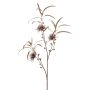 Eucalyptus w flower spray burgundy 95cm