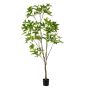 Pachira tree 230cm (knock down packing)