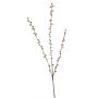 Salix spray red 105cm