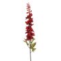 Delphinium spray red 78cm