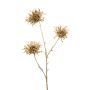 Protea spray gold 73cm