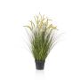 Grass cattail 100cm