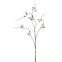 Eucalyptus seed spray grey 90cm
