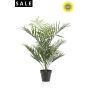 Areca palm UV in pot 90cm