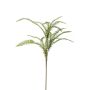 Fern boston mix spray 60cm