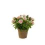Rose mini lt pink in paper pot 13cm