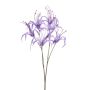 Nerine spray purple 55cm