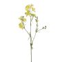 Delphinium spray green 83cm