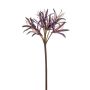 Nerine spray purple 95cm