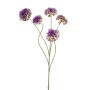Zinnia spray green/purple 90cm