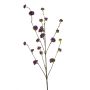 Callicarpa spray purple 100cm