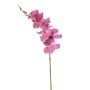 Phalaenopsis spray fuchsia 84cm