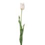Tulip france spray lt pink 66cm