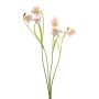Fritillaria spray lt pink 52cm