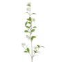 Viburnum vine spray white 105cm
