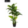 Spathiphyllum x4 160cm/41lvs
