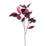 Ficus velvet spray x3 purple 70cm