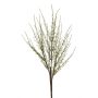 Reed grass spray green 65cm